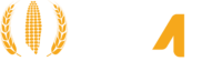 NOVA PDF